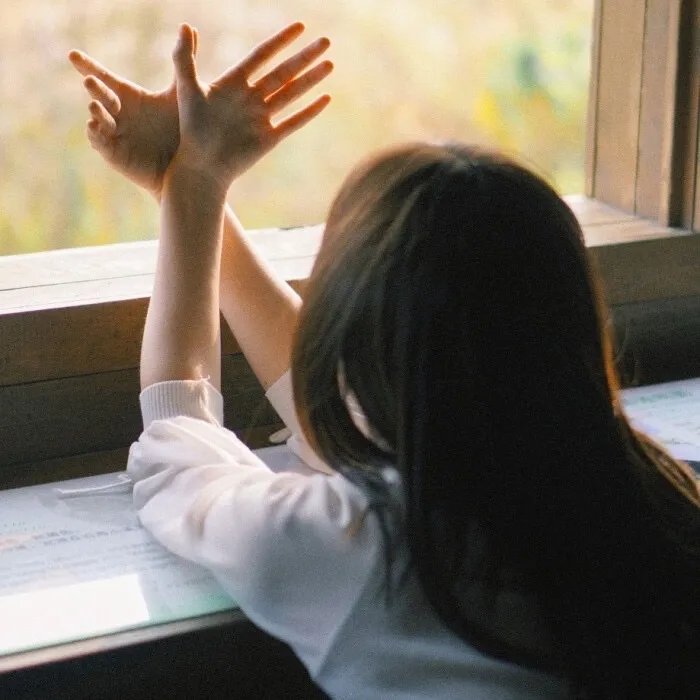 信长的忍者第二季